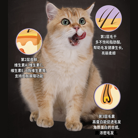 比瑞吉无谷六种鱼全价猫粮（全期）